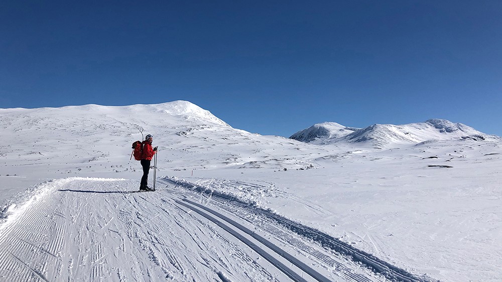 Skitur mor Skarddøra Skitur mot Skarddøra
