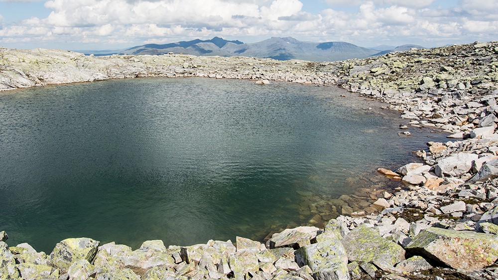 Skardsfjella/Gaejsietjahke. Foto: Geir Horndalen Skardsfjella/Gaejsietjahke. Foto: Geir Horndalen