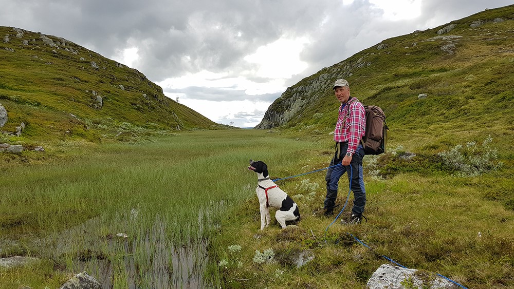 Tur med hund i Skardsfjella. Tur med hund i Skardsfjella. Foto: Britt Nilsgård.