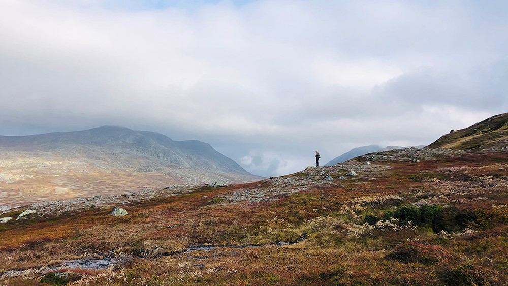Fottur i Skardsfjella Fjellparti i Skardsfjella