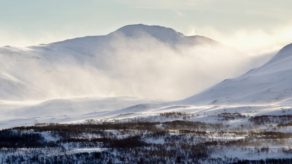 Snøføyke i Skardsfjella Snøføyke i SKardsfjella