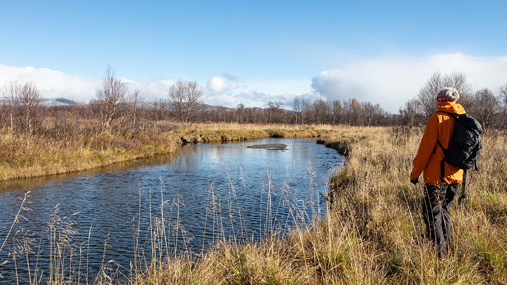 Tjerråøyan naturreservat Vandrer ved Tverråøyan naturreservat